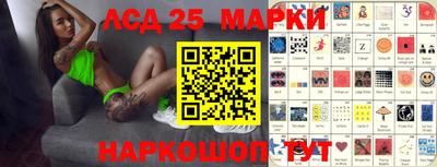 гашик Аргун