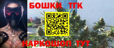 гашик Аргун