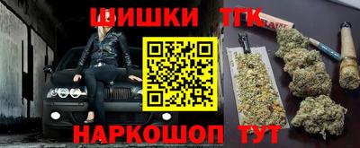 гашик Аргун