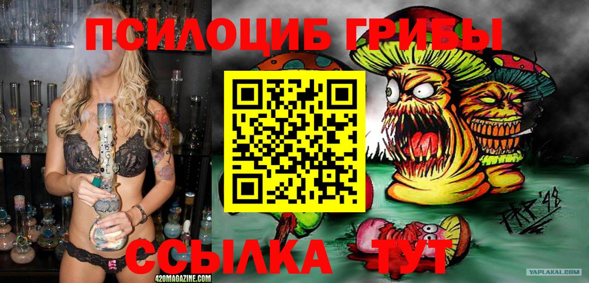 Галлюциногенные грибы прущие грибы  цены наркотик  Волжский  Вход с VPN  Галлюциногенные грибы GOLDEN TEACHER 